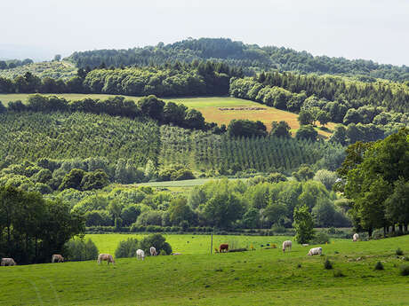 SITE DU MONT-ROCHARD