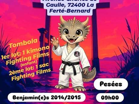 Tournoi de judo