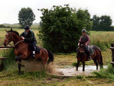 Centre équestre de la Coquelinière