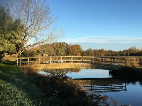 PARC DE LOISIRS DU GRAND MOULIN LA MARNE