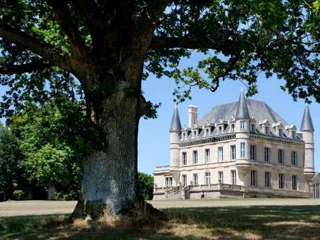 CHAMBRE D'HÔTES "CHÂTEAU DE LA GOUJONNERIE"