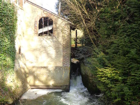 Pêcher sur l'Anille à La Chapelle-Huon