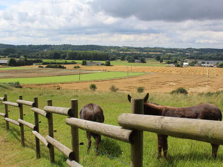 Chambres d'hôtes les Borderies
