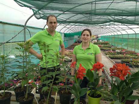 LES SERRES DU PETIT MOULIN