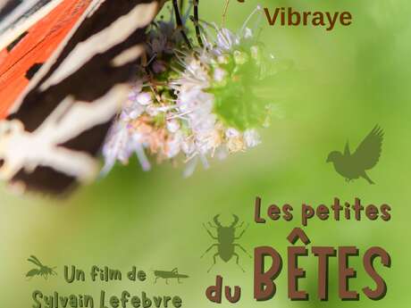 Film documentaire : Les petites bêtes au jardin