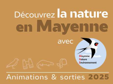 Rencontres Chiroptères Grand Ouest | MNE