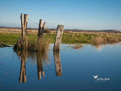 MARAIS BRETON VENDEEN