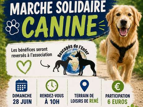 Marche solidaire canine