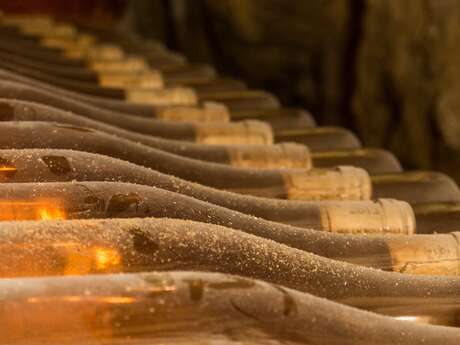 Domaine viticole la cave de Dauvers