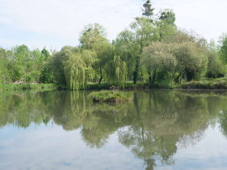 Étang de pêche du Guédeniau