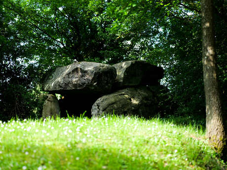 Dolmen des Roches