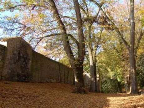 Visite guidée : le coin des enfants - A l'assaut des fortifications ! entre ruines et nature...