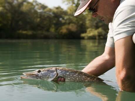 Journée pêche du carnassier