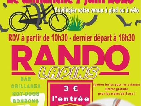 Rando Lapin