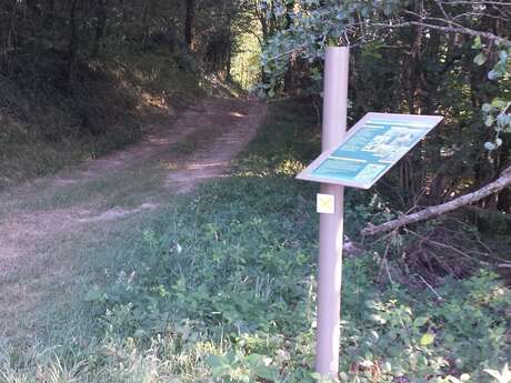 CIRCUIT PÉDESTRE LE SENTIER DES DORTIÈRES