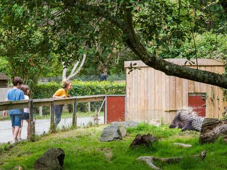 Spaycific'Zoo / Zoodéfis