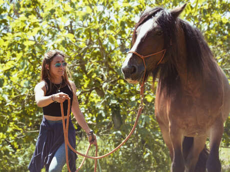 Stage d'équitation éthologique avec Cavalcoaching
