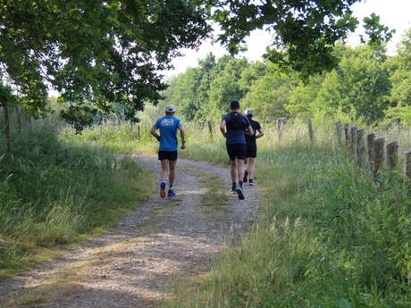 Un trail pour Changé ! - Trail