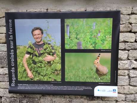 Regards croisés sur la ferme - exposition extérieure