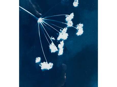 Atelier Cyanotypes à la Ferme d'Emilie