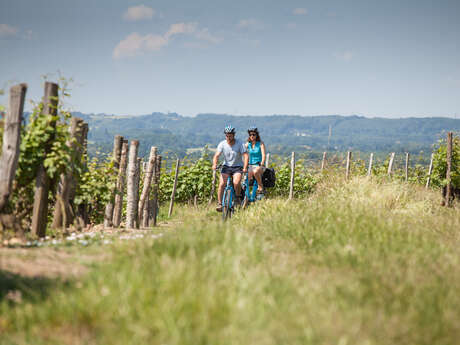 Location de vélos électriques