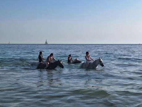 Baignade à cheval avec Cavalcoaching