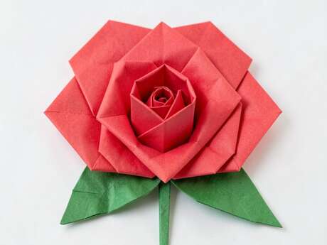 Atelier création de rose en papier - Pouancé