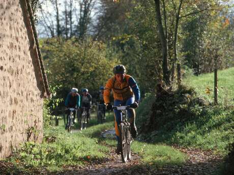 CIRCUIT VTT N°1 - VERT - DÉPART DE MAMERS