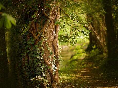 "La fête de la nature. Richesse et diversité du vivant"