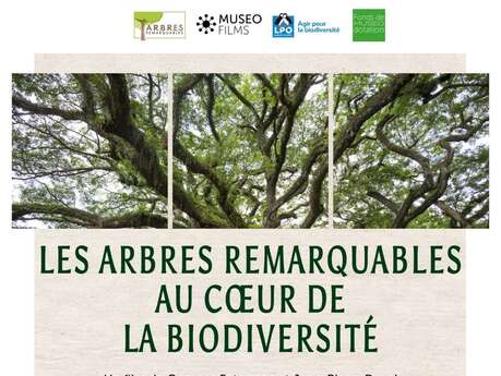 CINÉ-DÉBAT "Arbres et forêts remarquables, un univers à explorer"