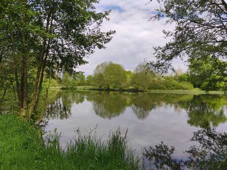 Carpodrome de Mansigné