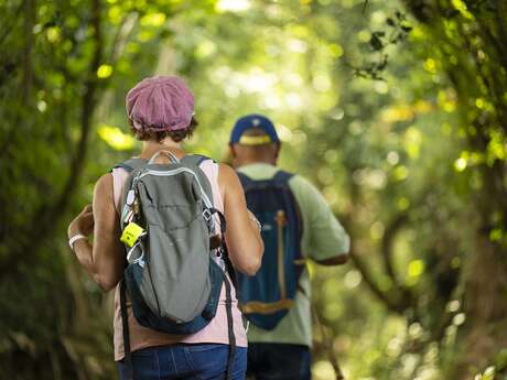 Randonnée pédestre