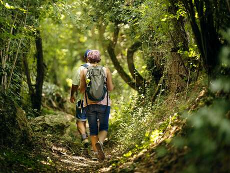 Randonnée pédestre