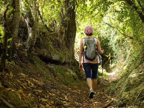 Randonnée pédestre