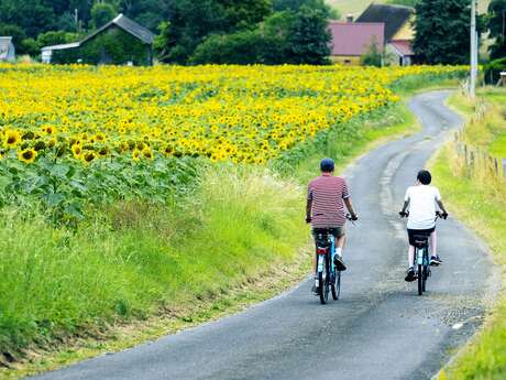 3 Courses cyclistes (U15, U17 & toutes catégories)