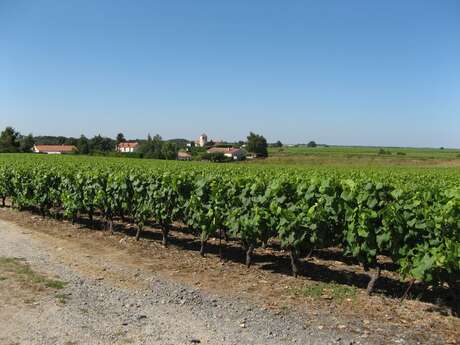 BOUCLE CIRCUIT GALLO-ROMAIN