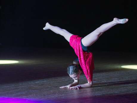 Médiathèque : lectures circassiennes