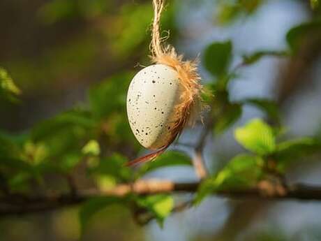 Manger les plantes sauvages même en automne