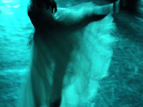 Spectacle de danse modern'