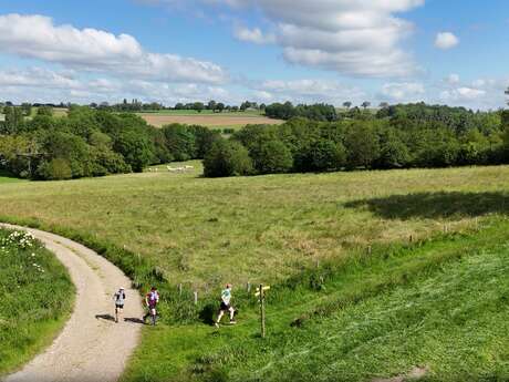 Sur la Voie Romaine - Trail