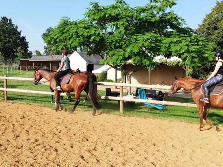Séance à cheval adaptée à votre demande (+12 ans)