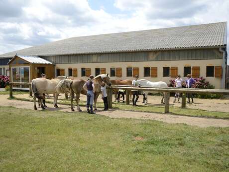 Poney Club Atou Crin