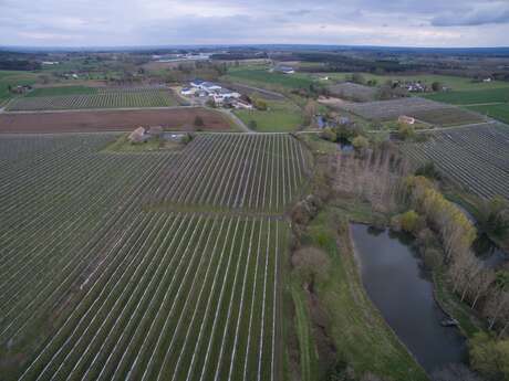 Vergers maison Leroy