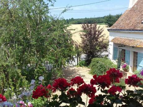 Gîte La Petite Maison de Sue