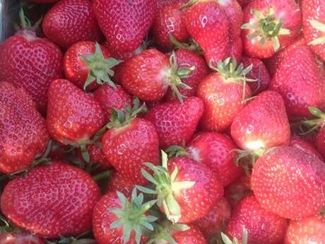 FERME DES GRANDS CHAMPS