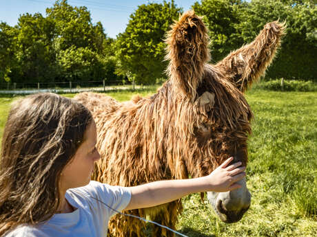 Atelier du Petit Fermier