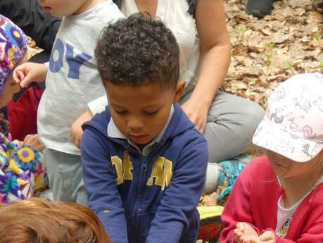 Forêt des tout petits