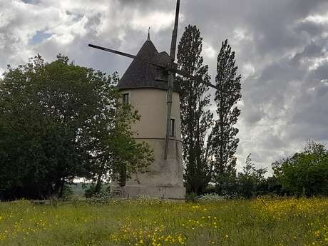 GÎTE "LE MOULIN À VENT - LE CHAMP DU TRAIL"