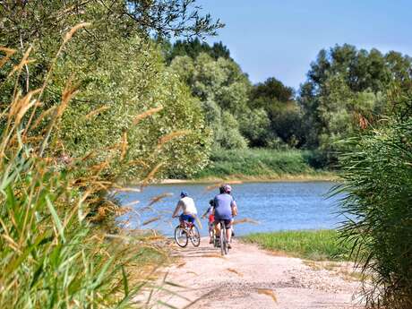 Location vélos à l'Office de tourisme Anjou Vert