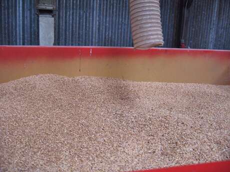 Le Moulin d'Iré - GAEC de la Paillardière